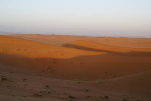 Oman/DSC01392.JPG