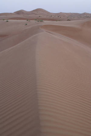 Oman/IMG_6286.JPG