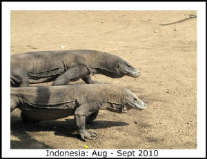 Photo_Gallery_Title_Pages/Indonesia_title.JPG