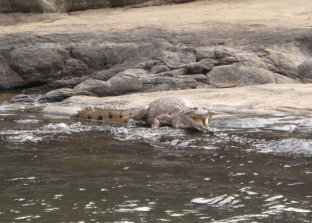 Australia/IMG_2542.JPG