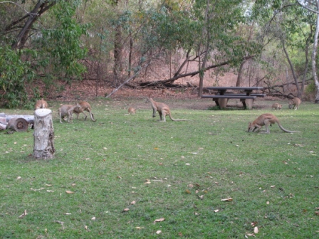 Australia/IMG_2591.JPG