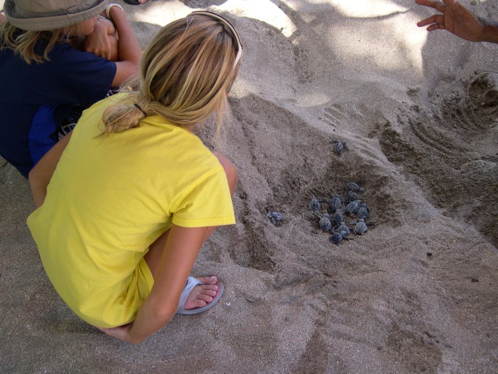 Bali_Kalimatan_Pix/IMG_3488.JPG