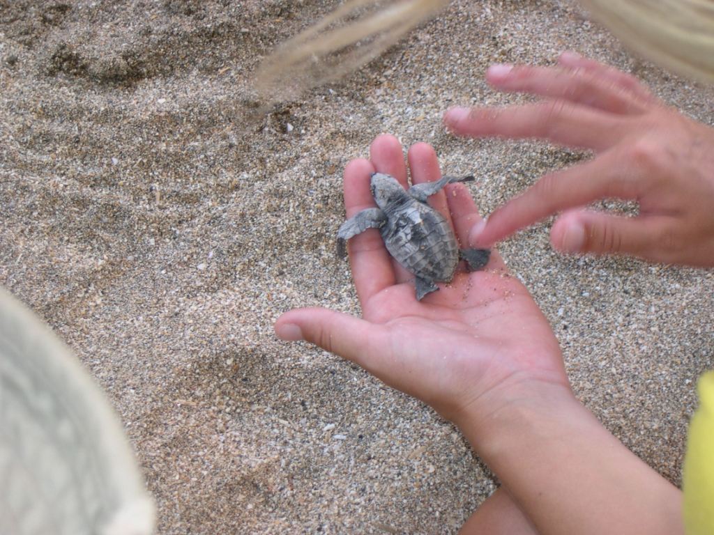 Bali_Kalimatan_Pix/IMG_3488.JPG