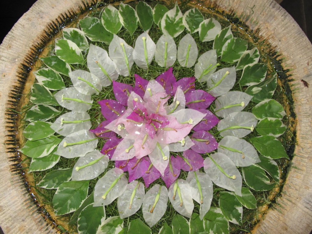 Bali_Kalimatan_Pix/IMG_3488.JPG