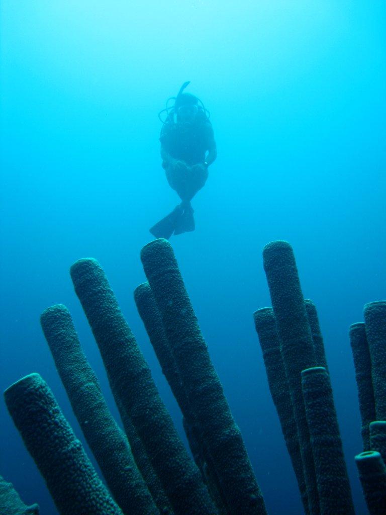 Bonaire/IMG_8260.JPG