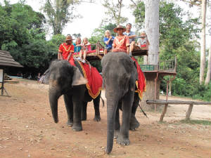 Cambodia/IMG_4910.JPG