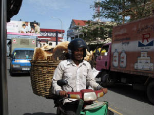 Cambodia/IMG_5486.JPG