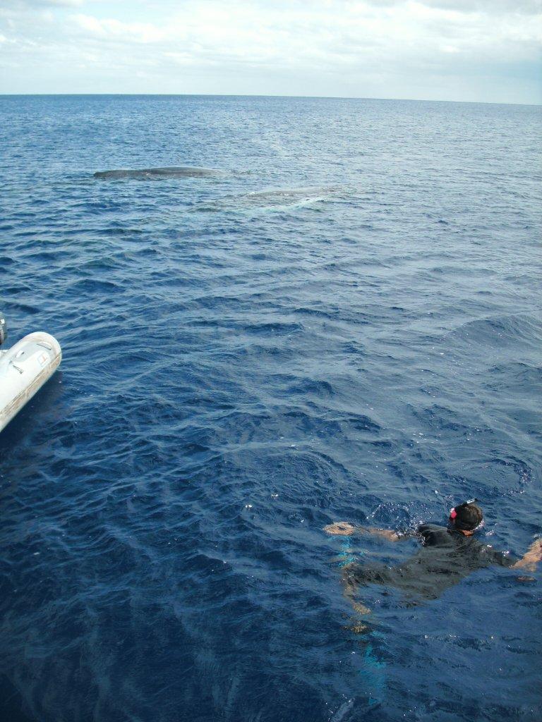 French_Polynesia/IMG_4177.jpg