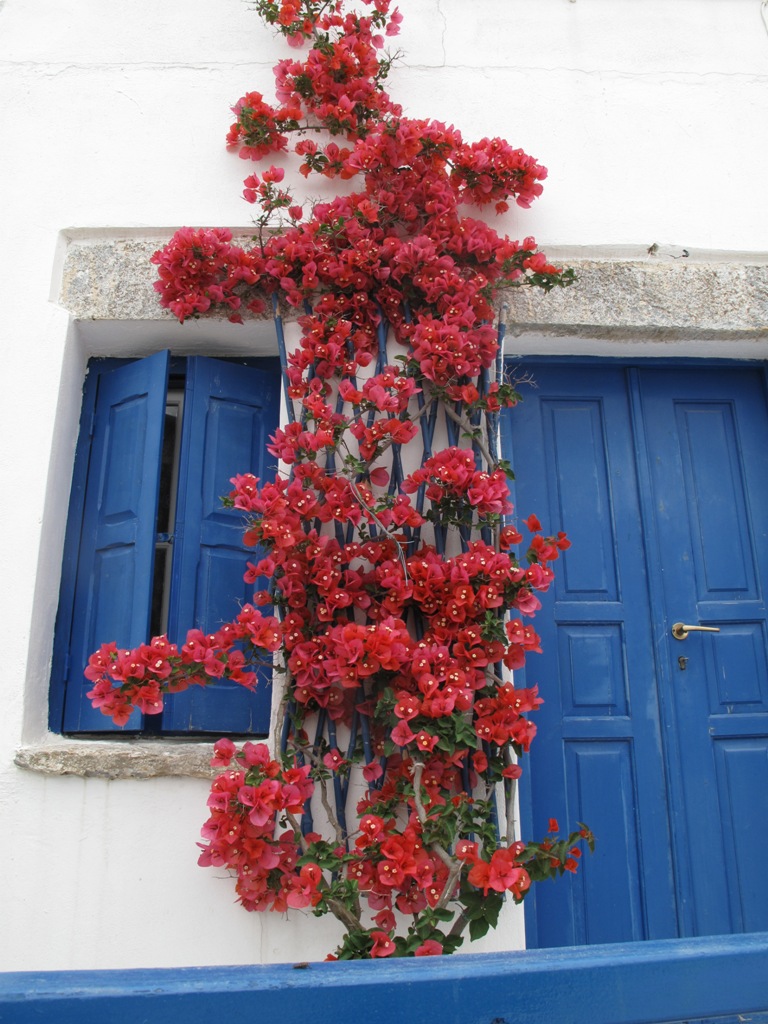 Greece/IMG_7949.JPG