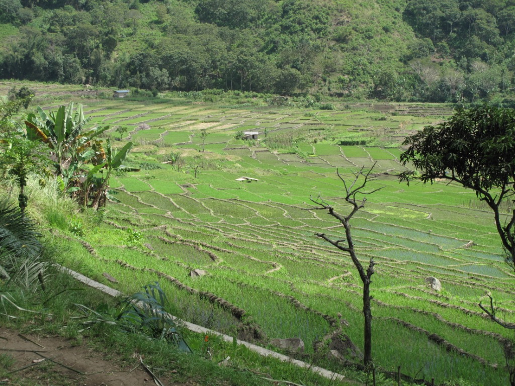 Indonesiapix/IMG_2953.JPG