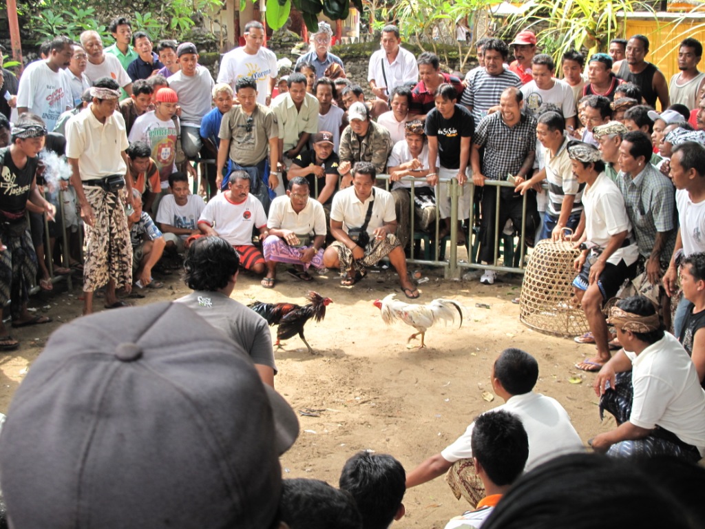 Indonesiapix/IMG_3471.JPG