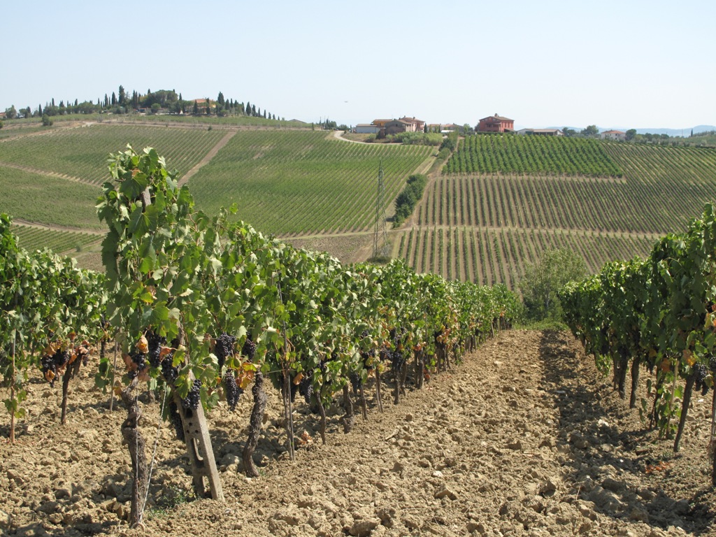 Italy/Michelangelos_David.jpg