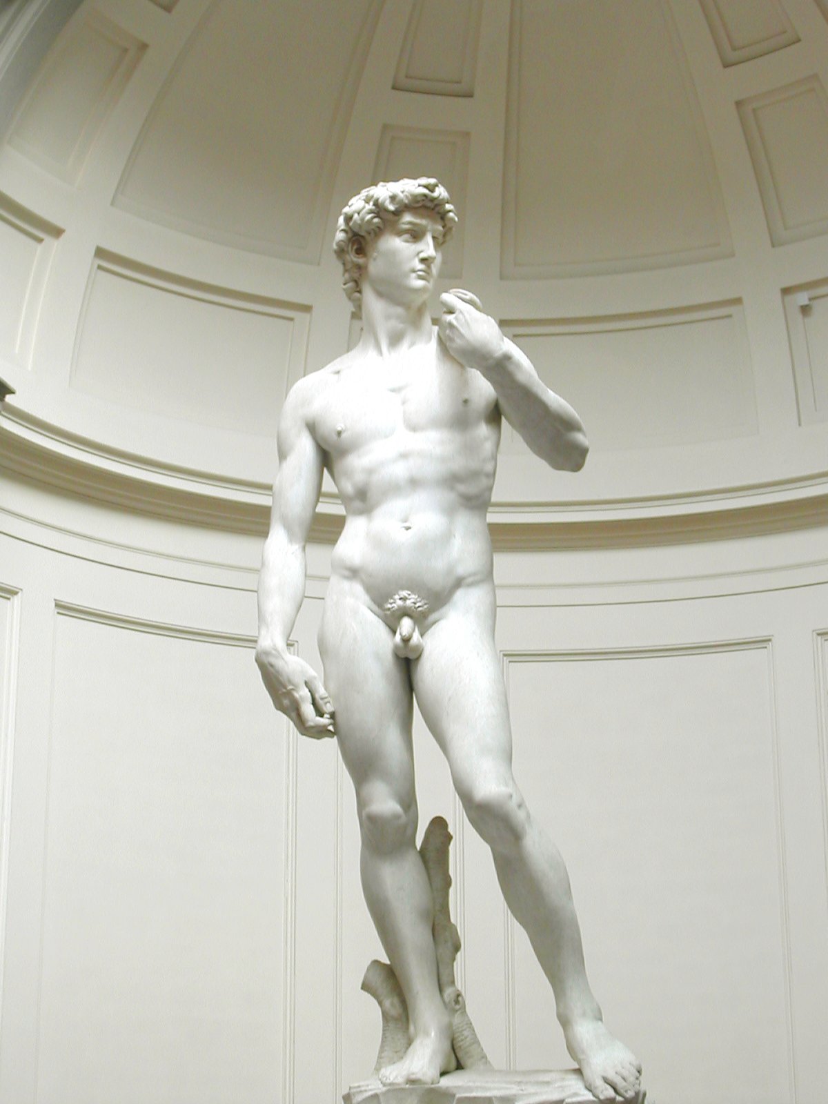 Italy/Michelangelos_David.jpg Italy/Michelangelos_David.jpg