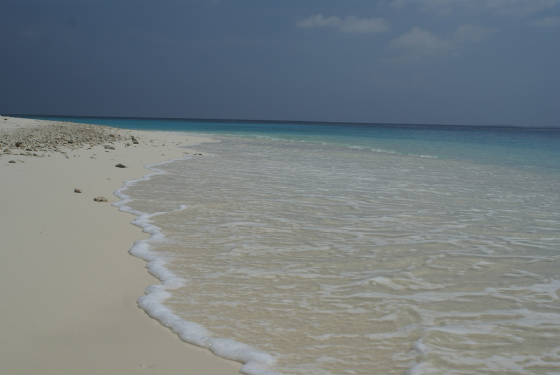 Maldives/DSC01052.JPG Maldives/DSC01052.JPG